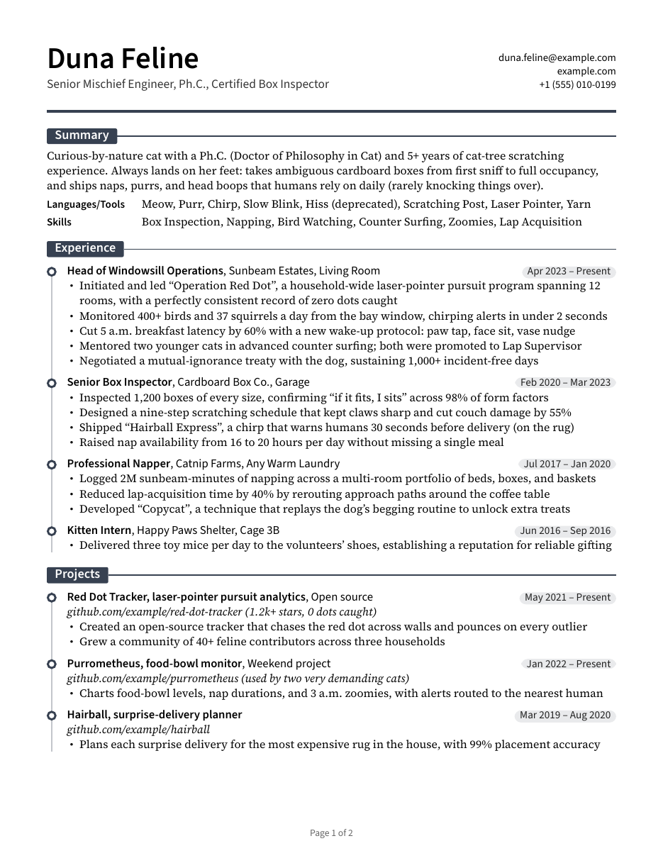 Canonical resume, page 1