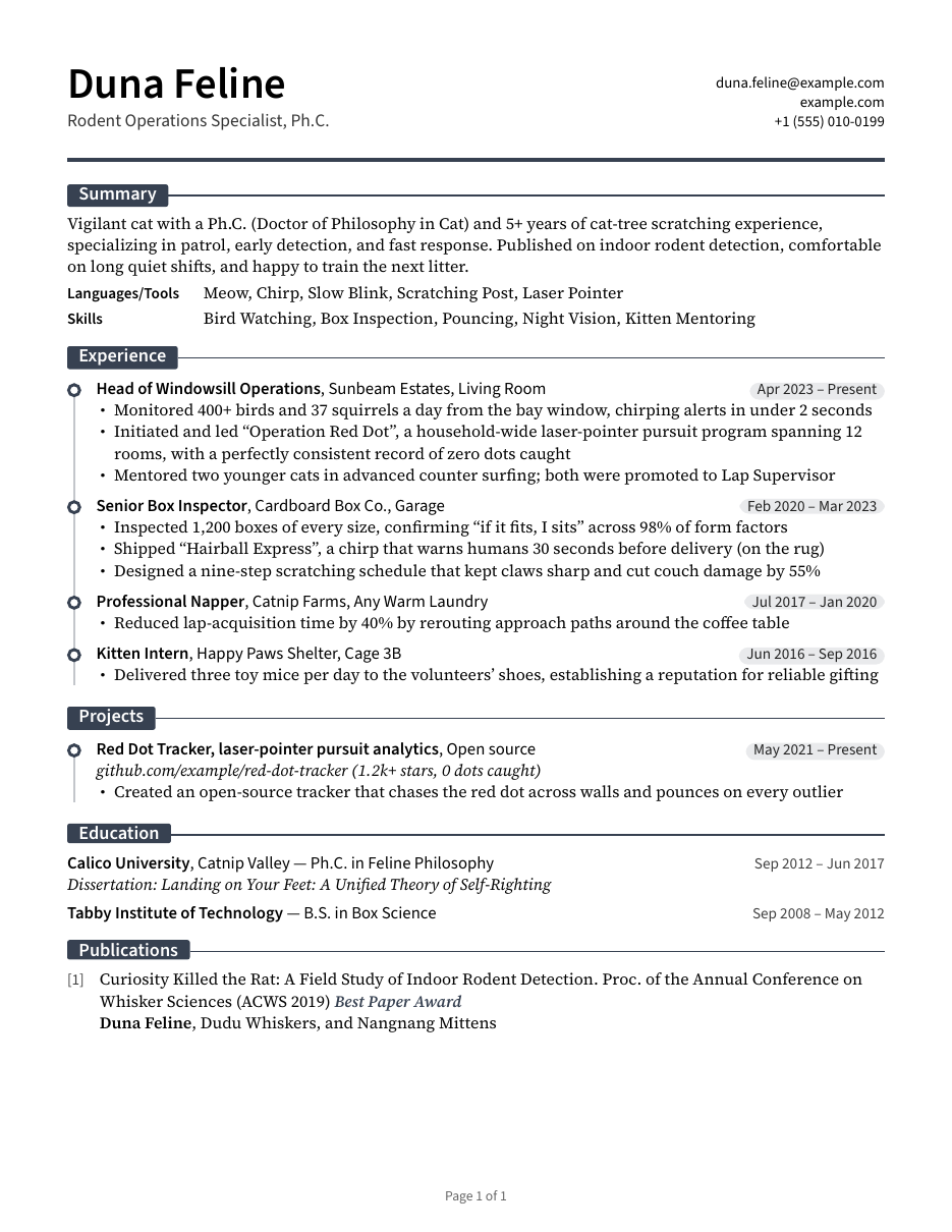 Resume tailored for one job, page 1